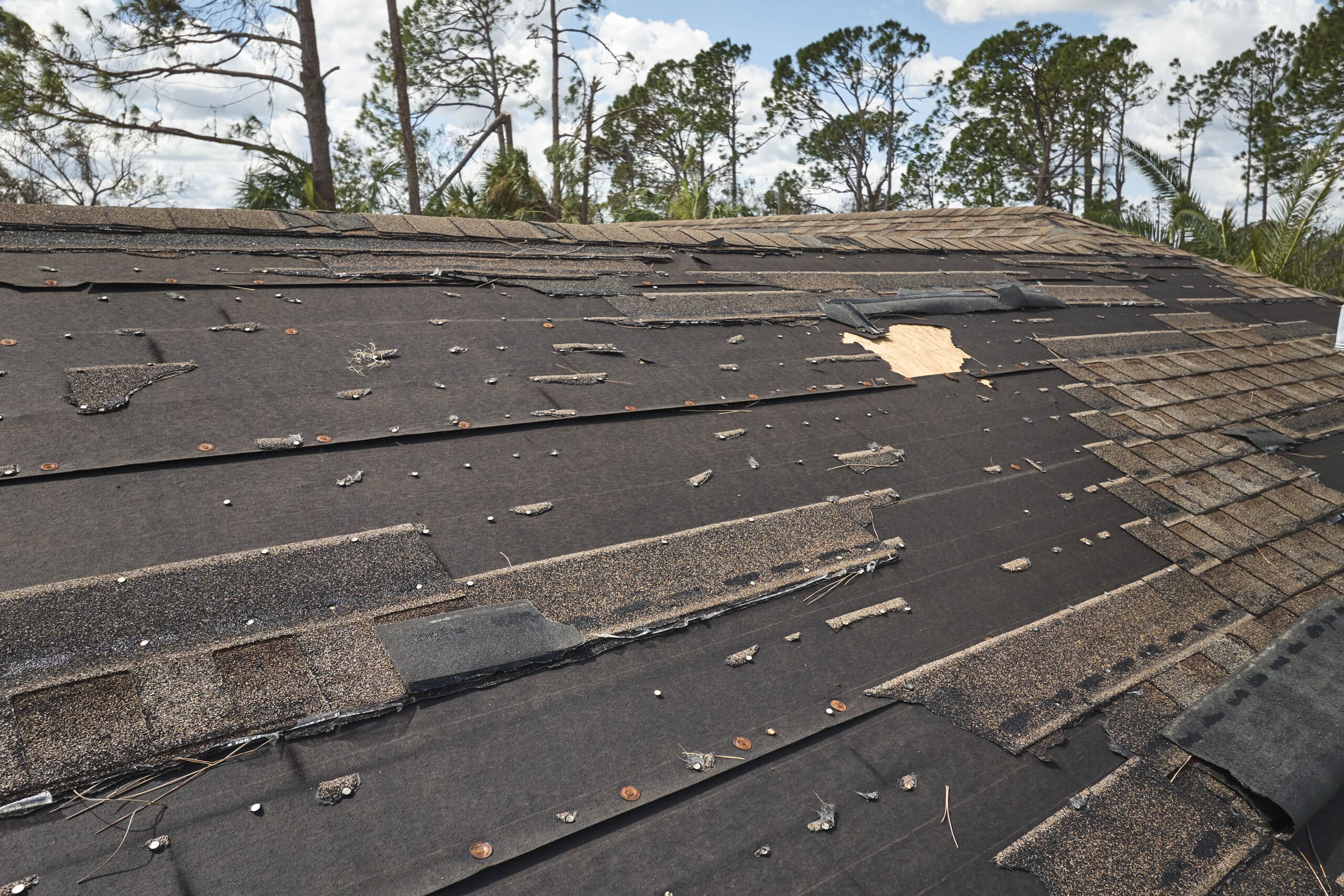 A wind damaged roof shown in reference to the question "how to check for roof damage after a storm"